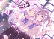 开云体育官网-黄蜂制霸辽宁队，奥运周期关键焦点战，重塑篮球格局