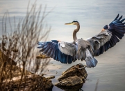 开云sport-神明退位之夜，当帕尔默撕碎所有争议