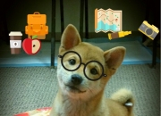 开云APP-绿翼风暴，帕尔默的指挥官之舞与爱尔兰的压倒性胜利