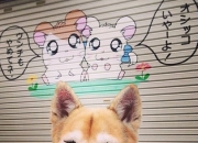 开云体育在线-欧冠淘汰赛之夜，当福克斯弧线划过天际，平凡之躯筑就永恒传奇