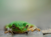 开云体育官网-冰火激战，当吉林的坚韧遇上休斯顿的流星，解码詹姆斯如何成为赛场永恒核心