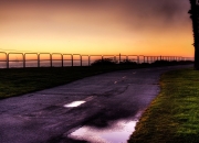 开云平台-绿衫军轻取公牛，字母哥跨队表演关键球定乾坤