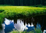 开云下载-哈利伯顿战斧式三双引领，篮网稳稳拿下广厦展现冠军相