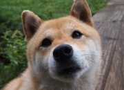 开云体育入口-德布劳内终场绝杀，曼城惊险击败克罗地亚