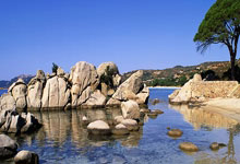 开云体育入口-手术刀与铠甲的对决—复盘2009年欧冠，阿森纳如何用细腻切割压制罗马军团