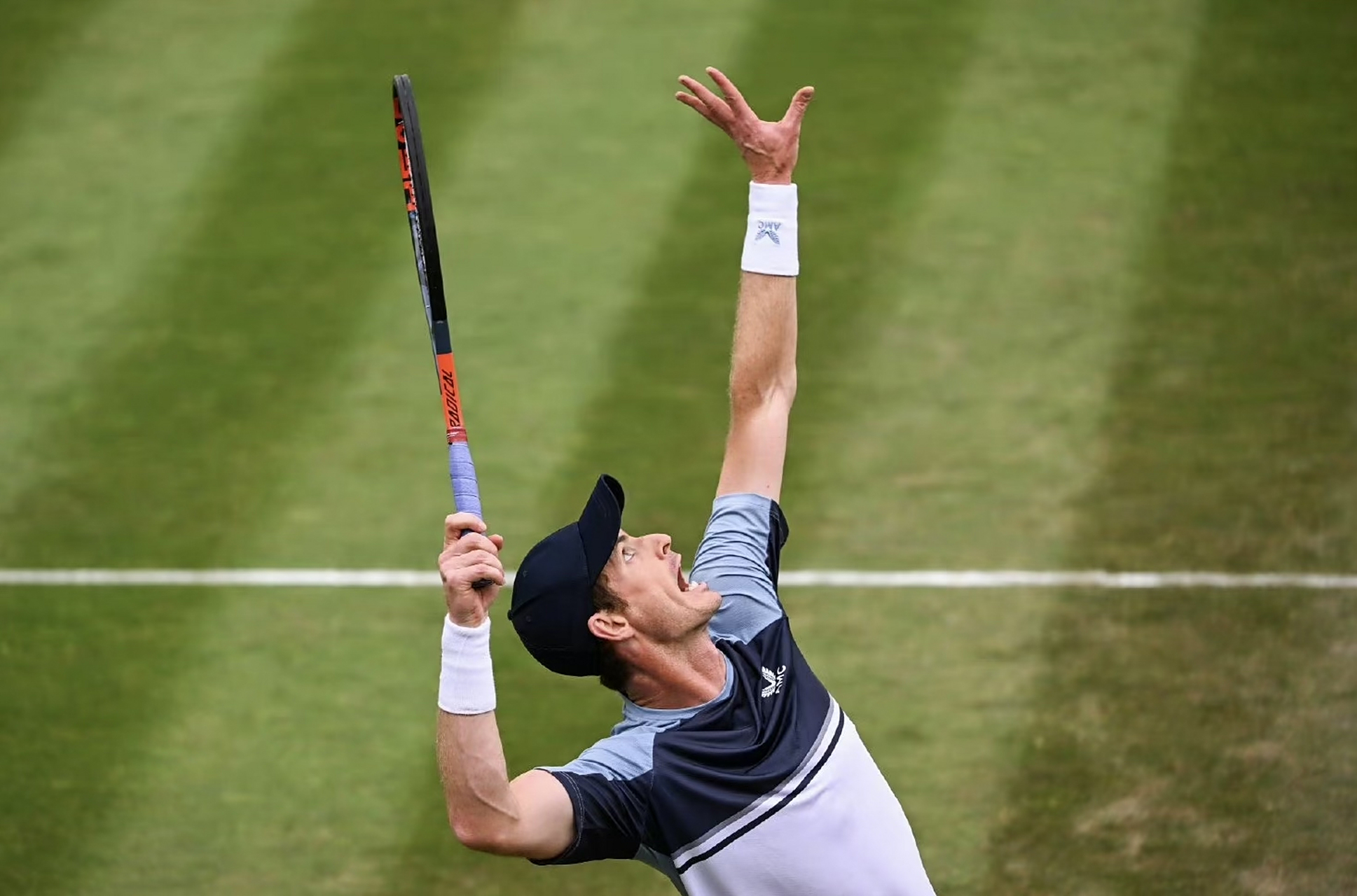 包含法网险胜ATP总决赛，穆雷惊艳四座的词条