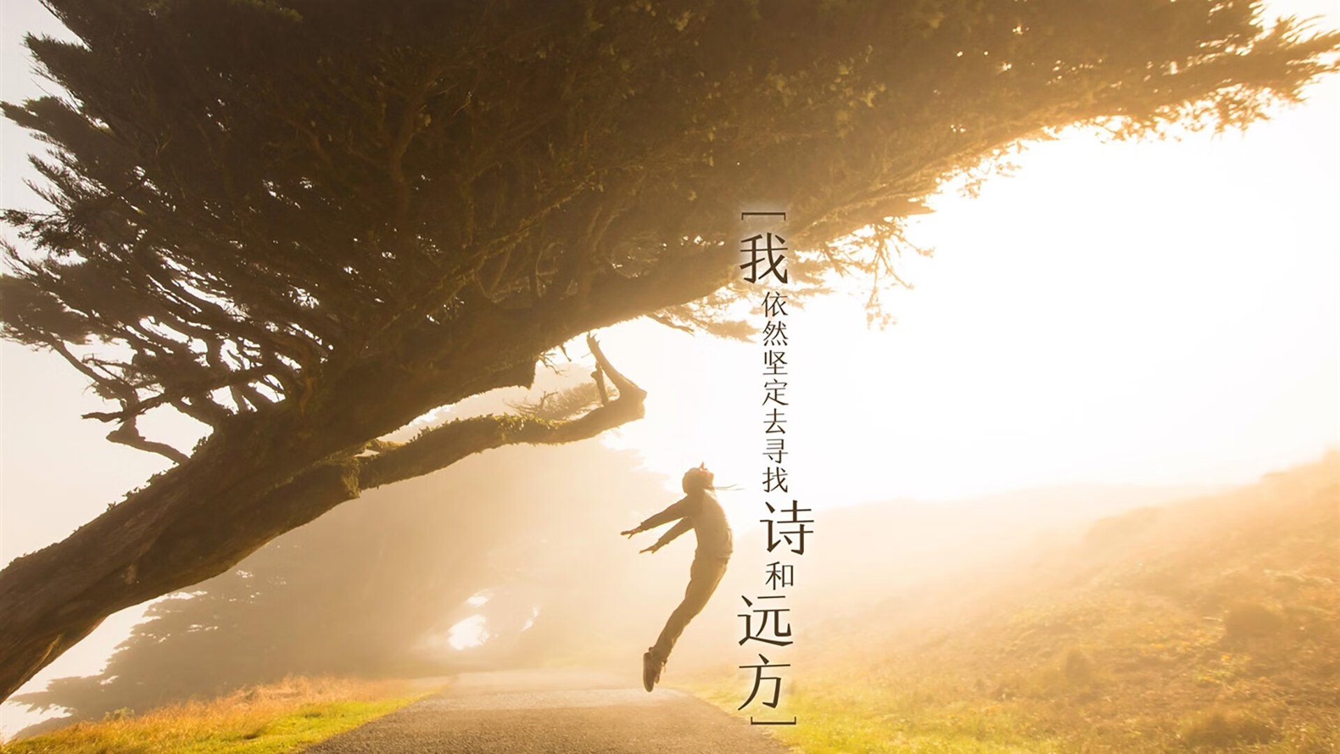 唯一横扫骑士的球队！吉林用20分钟杀死悬念，文班亚马已成无解杀器