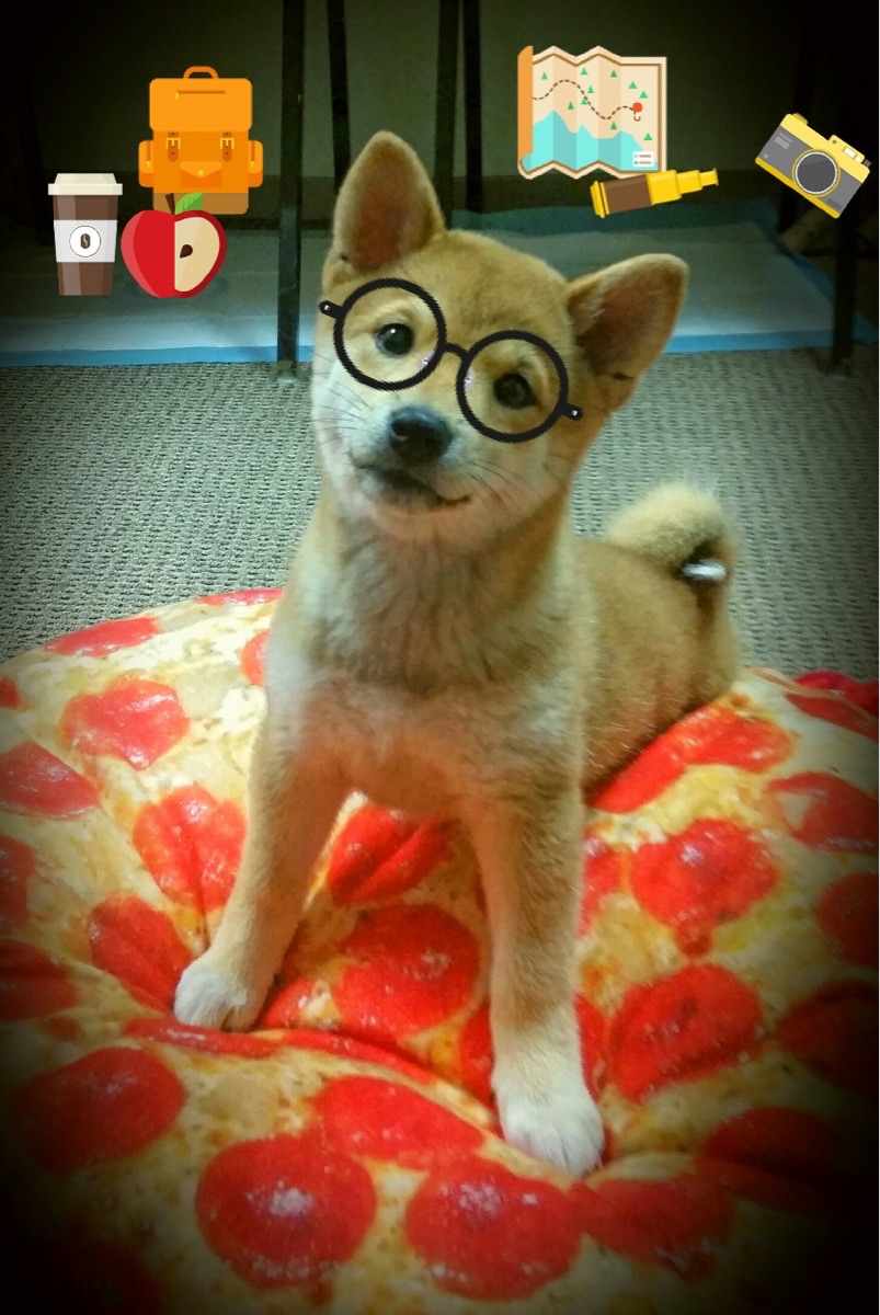 绿翼风暴，帕尔默的指挥官之舞与爱尔兰的压倒性胜利