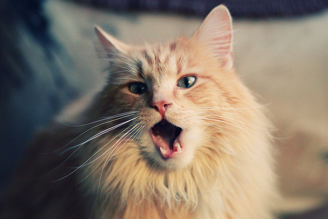 末节19分封印MVP！伦纳德用最掘金的方式杀死掘金