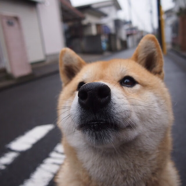在黑海的迷雾中,法比尼奥如何成为乌克兰对阵伊朗的战术罗盘?