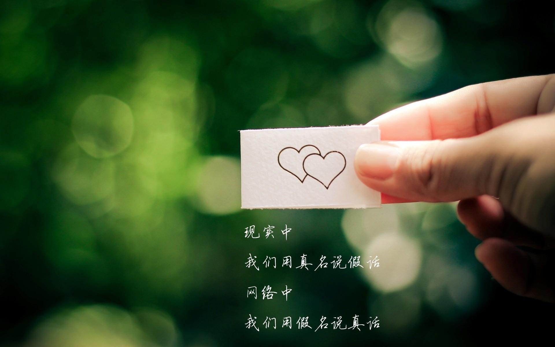 跨越地域的篮球盛宴,76人展现NBA实力,范弗利特欧冠赛场显神威