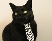 福登的南极光,当南十字星照亮阿尔卑斯的雪