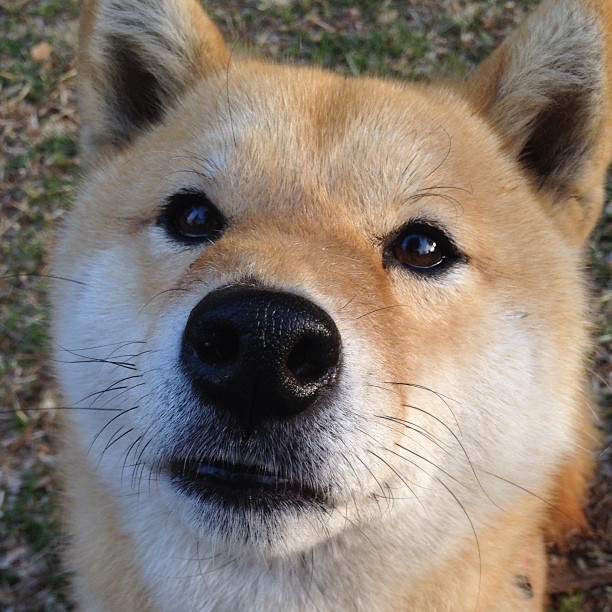 15分钟定胜负，从浙江到费城，单节统治力如何重塑现代篮球逻辑