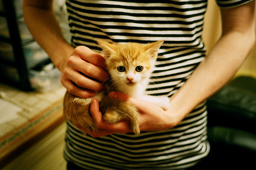 矛的独舞,盾的协奏,欧文神迹难敌勇士流动的城墙