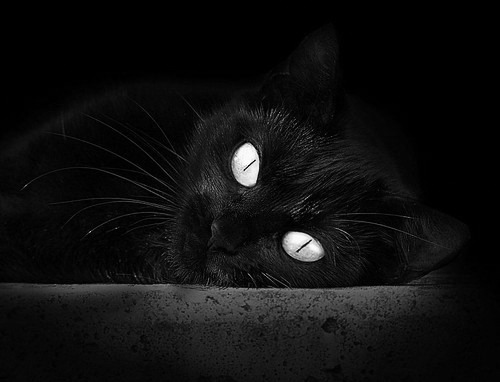 文班亚马的奇幻秀，魔术师如何拆解步行者铁阵