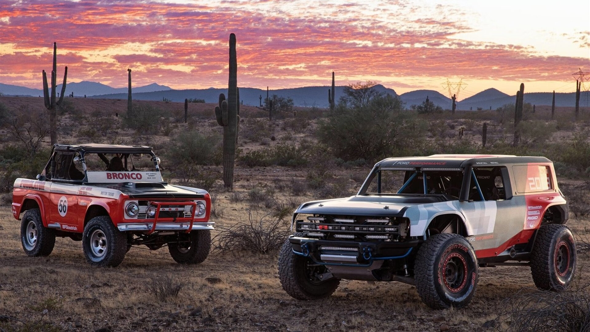 足球圈里的篮球梗，当紫百合的魔术，踏平小黄蜂的巢穴