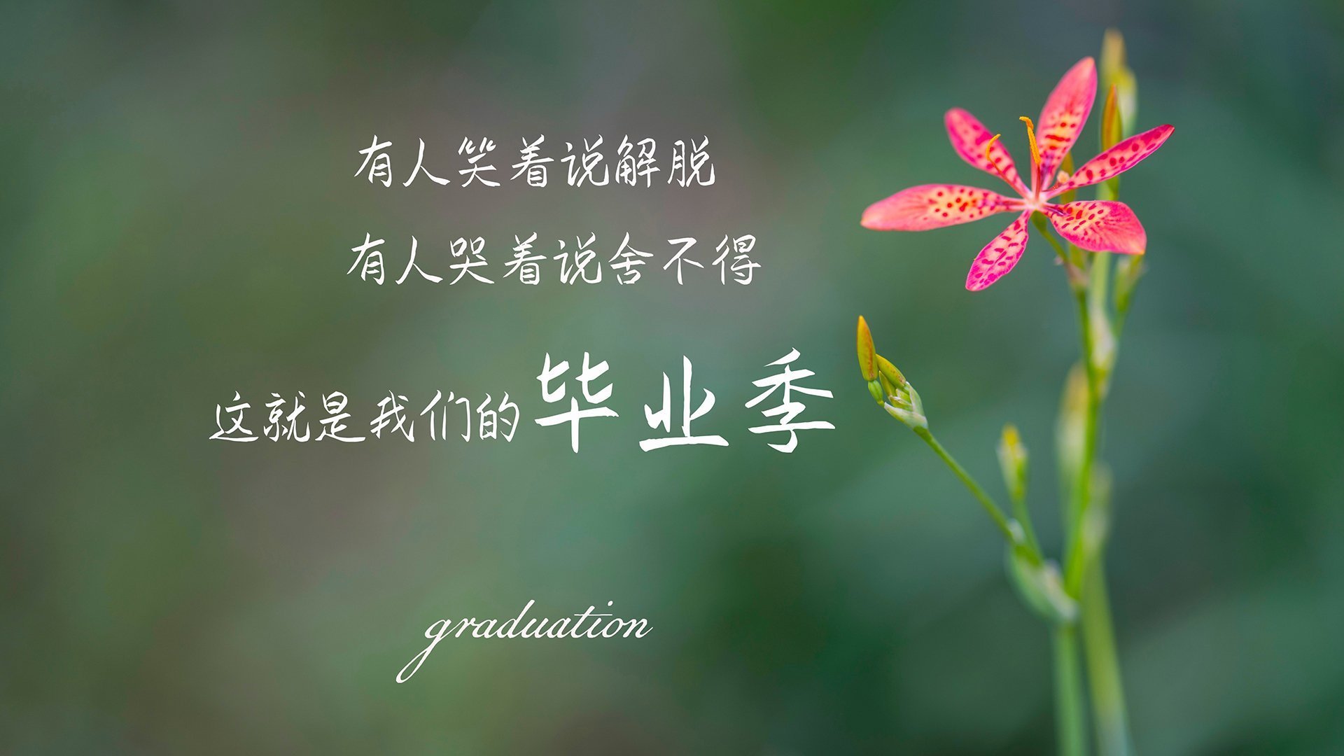 当烽火点燃安第斯之巅,2026世界杯A组焦点战,内马尔与厄瓜多尔联袂演绎史诗级盛筵